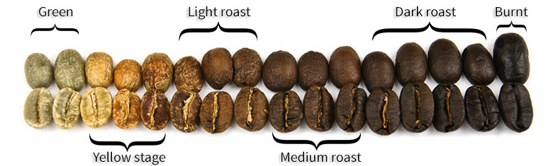 coffee bean roasting levels roast coffee company
