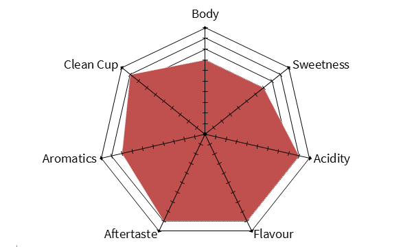 nicaragua-graph-1