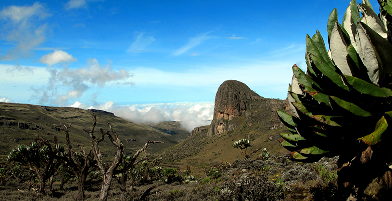 Mount_Elgon-2