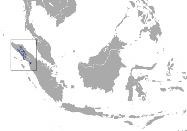 Sumatra is located in South-East Asia