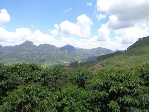 Minas Gerais region