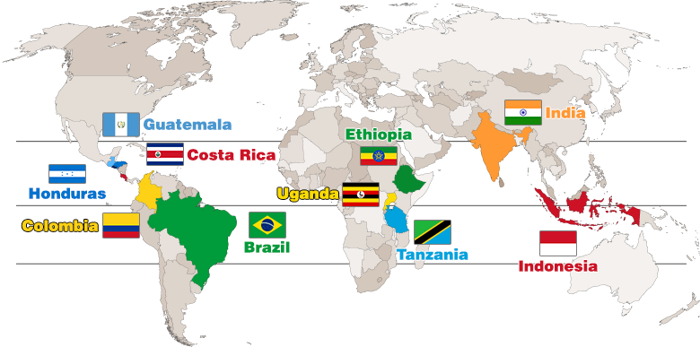 World Coffee Map
